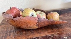 leaves on gourd