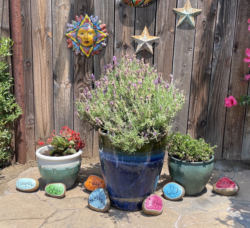 lavender and colorful rocks