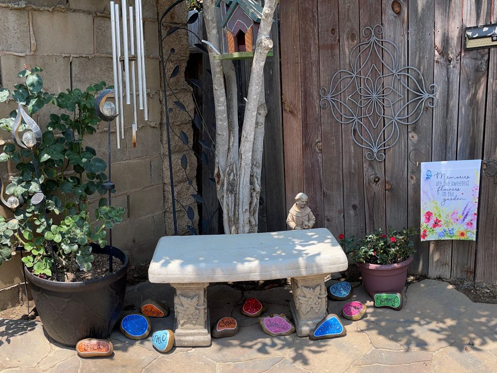 bench under tree with colorful rocks