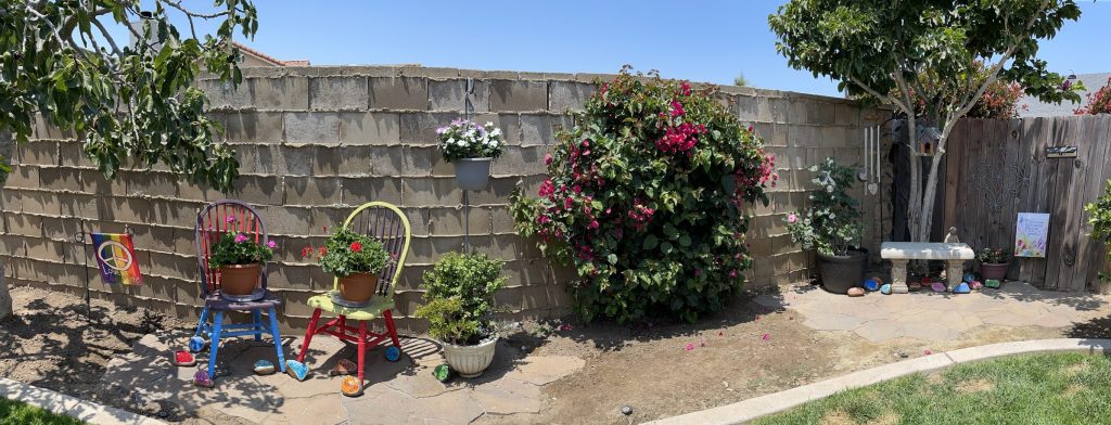 panorama of backyard