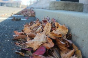 fall leaves in gutter