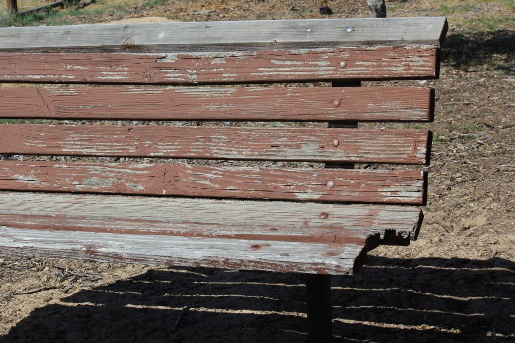 weathered park bench