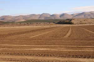 cliff and tilled field