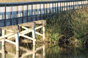 footbridge over lake