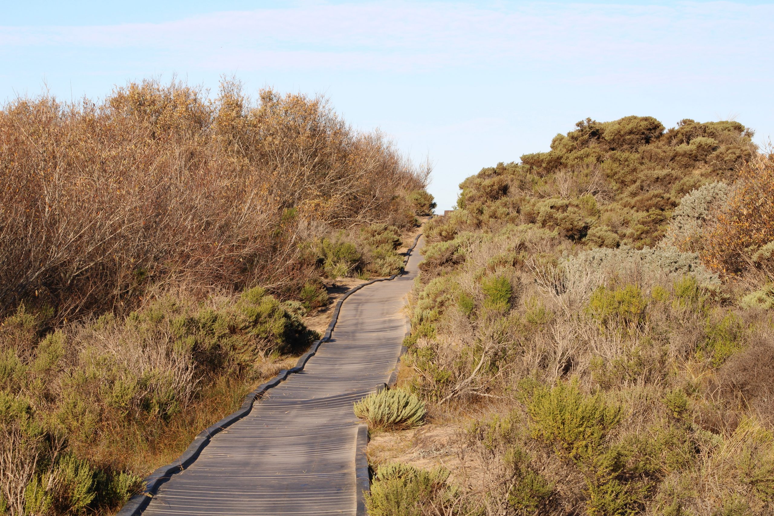 footpath at Oso Flaco Reserve